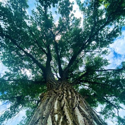 solsikke_13's profile picture. these scattered thoughts are my own. it’s time to go.