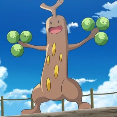 miguioli's profile picture. 