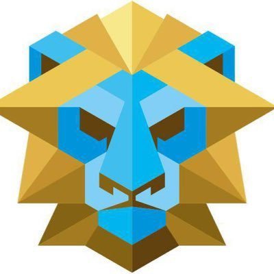 MR RAID 🫥 {Pro raider } 🦍bullish karb Profile
