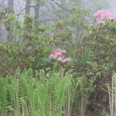 Bev13678S's profile picture. 