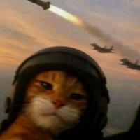 Joseph DeLuca (@deluca2a) 's Twitter Profile