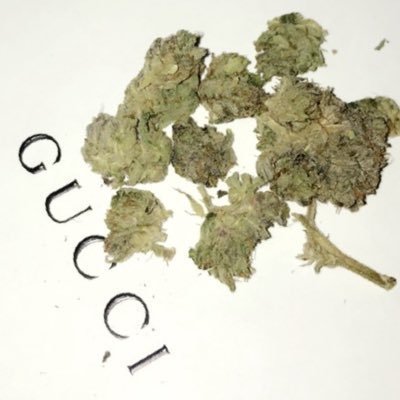 Bobsavage289's profile picture. 🇨🇦