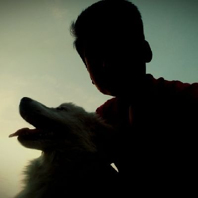 kshashikant02's profile picture. CS Undergrad | Full Stack Dev