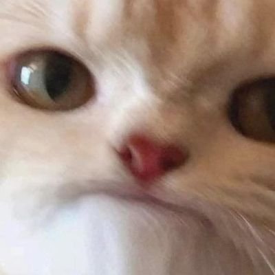 Hearthstone + Classic WoW + variety streaming https://t.co/xCs7Pw4WVe