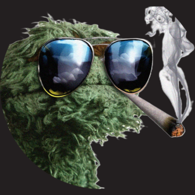 The Grouch in NH Profile