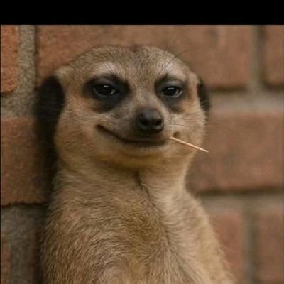 SuleAbdull73782's profile picture. Reddio