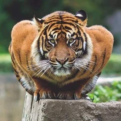 🚖இராஜேஷ்🚕 Profile