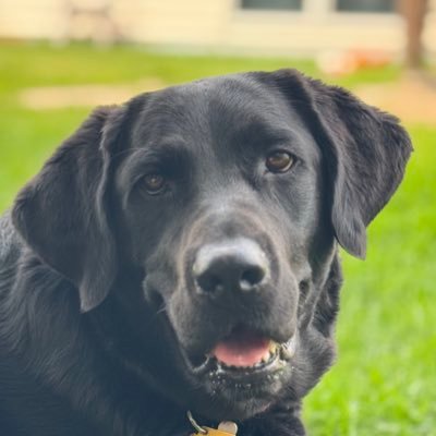 kap_chan's profile picture. 