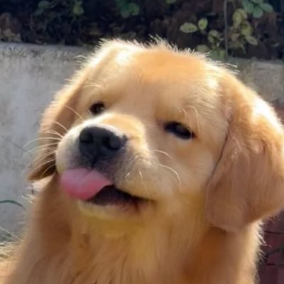 afialpner's profile picture. mami น้องเหริน น้องหลิว น้องมิ้ล น้องแทด น้องบี(?) น้องโปจิ ♡。·˚˚· BeverTonliew Milk2may TadAtlas NCT RJ ·˚˚·。♡