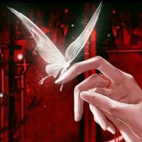 ✨Xie_Lian_RP_°❀⋆.ೃ࿔*:・ ⋆ .♡ 🦋 (@hikari_shimura) 's Twitter Profile