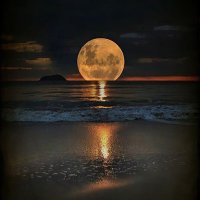 Béatrice Blondeau (@spockounet) 's Twitter Profile