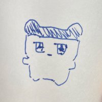 めすお (@mesuo_3) 's Twitter Profile Photo