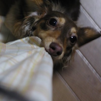 てててさんのプロフィール画像