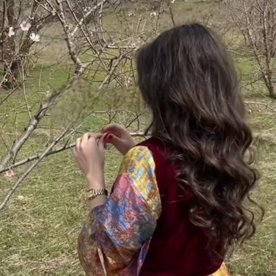Welatperweristi's profile picture. Kurd. Dreamer. Defender of culture & truth.