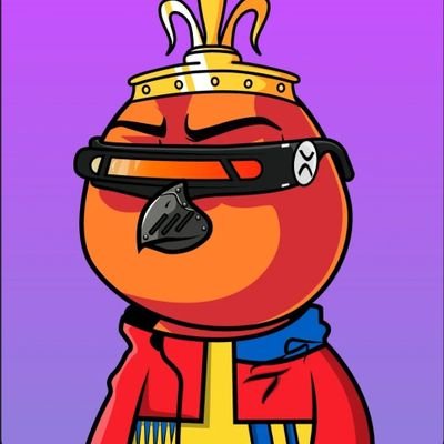 phnixmaxi's profile picture. $phnix $velo $shx $xrp.