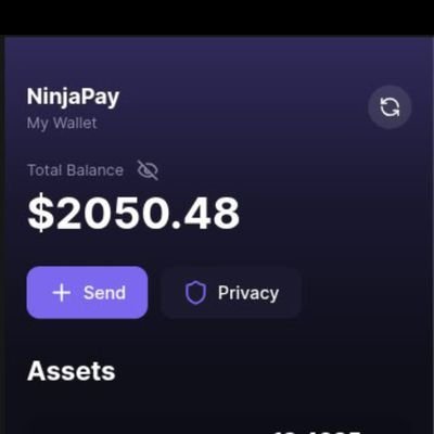Ninjapay_xyz's profile picture. For your confidential crypto payments