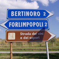 Roy Berardi (@royberardi) 's Twitter Profile Photo