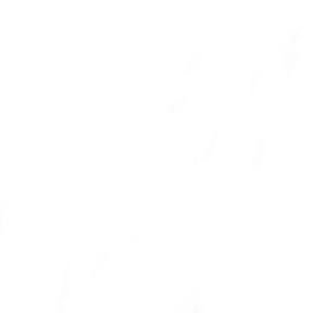 Christopherr_BS's profile picture. 02 de Noviembre