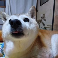 Yuki (@Yuki191145) / X