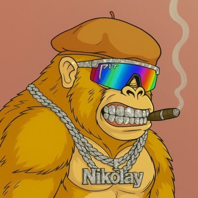 Nikolay Profile