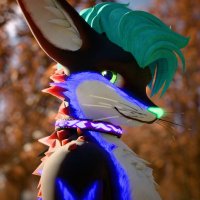 SophieFolf (@sophiefolfad) 's Twitter Profile