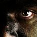 FERNANDO (@fernand24824577) Twitter profile photo FERNANDO (@fernand24824577) Twitter profile photo
