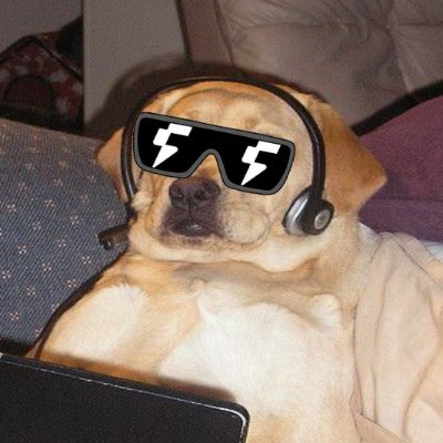 macedog777's profile picture. Certified degen |  @PytheniansNFT on top