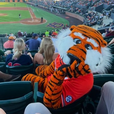 LaraDiChiara's profile picture. Christian. Wife. Mom. Teacher. Auburn Grad. Baseball Mom. #WarEagle ⚾️🧡💙🦅🐅🦚