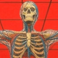 NERVESSEL (@nervessel) 's Twitter Profile