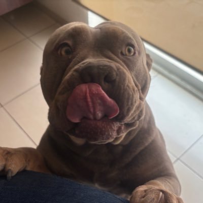 SAL2810's profile picture. 