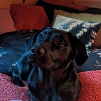 Mel B Crane (@mind40576) 's Twitter Profile