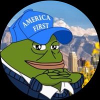 AF Groyper (@energeticwaves) 's Twitter Profile