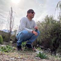 luis Castro (@luis_edg) 's Twitter Profile