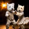 DogDazeUK's profile picture. The tales of Tikki the Wild Westie, plus her Yorkie chums Kila and 🌈Oscar🌈. Proud to be an Admiral in the legendary @ZombieSquadHQ. ♥️#ZSHQ