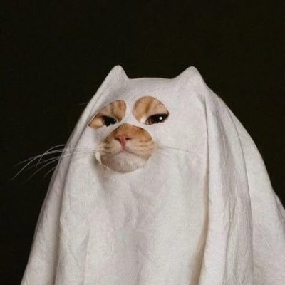 appyoa's profile picture. 