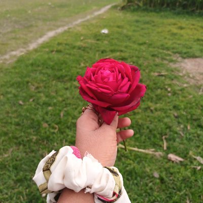 surmab933's profile picture. 💯💯Back to back follow back 100% active ID 💯💯