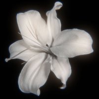 قُرآن | Quran (@1quranq) 's Twitter Profile Photo