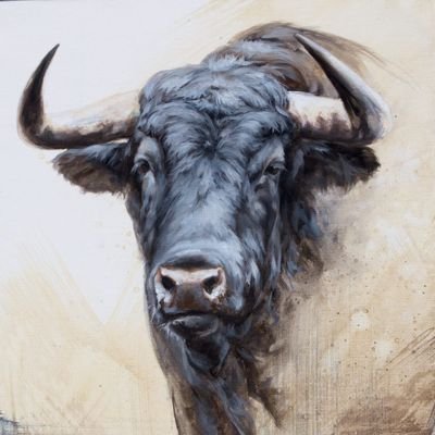 liners_21's profile picture. Single cómplice para relaciones Hmh. 🚫 No gays gracias