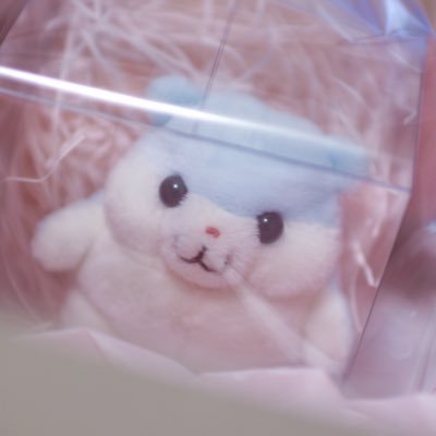 20↑時々ぬい撮り🐹🌻2025.07.03〜