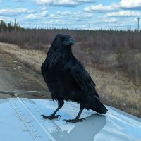 Martyeg (@martyeg156) 's Twitter Profile