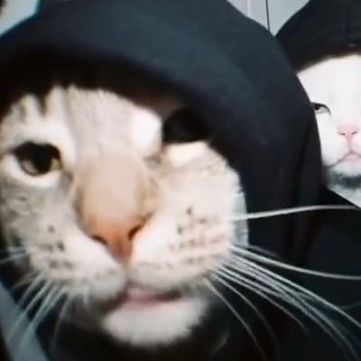 shun29than's profile picture. エペしてます
可愛いカエル飼ってます🐸🐸