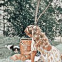 June Summers - @JuneSummer28723 - Twitter