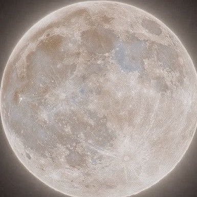 rmeixingg's profile picture. 
