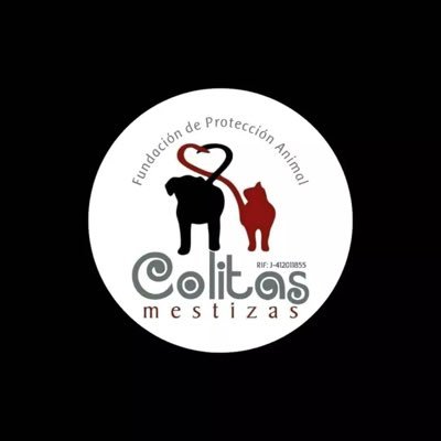 Nonprofit organization❗️ We provide opportunities to those who have no voice🐶🐾 J-412011855. Donations go directly to the vet👇