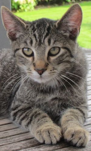 kat23128's profile picture. 