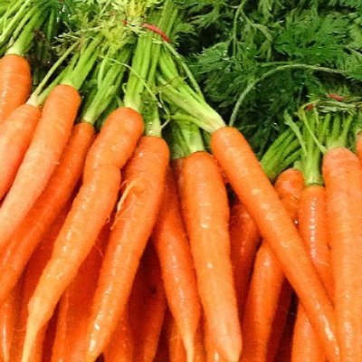 0xCARROTS's profile picture. 