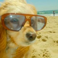 yino (@lonuooo) 's Twitter Profile