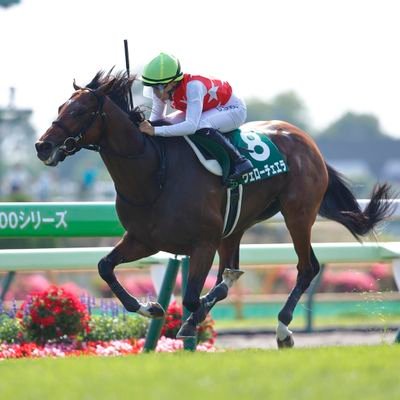 【陸上競技・公認記録 ハーフ 75分25秒(22/01)/10000m 33分52秒15(24/01)/5000m 16分05秒70(21/02)/1500m 4分22秒60(24/06)】
【競馬(好きな騎手:佐々木、高杉)】
【町田ゼルビア(中立的立場)】
【大相撲(好きな関取:尊富士、安青錦)】