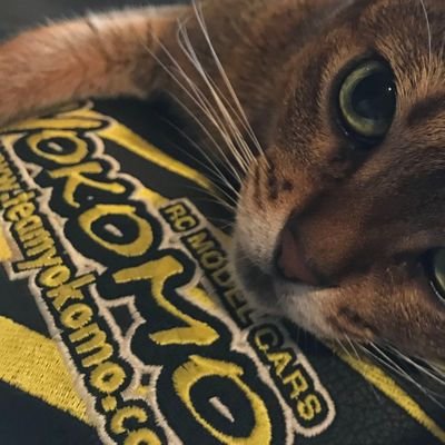 rafaero0013's profile picture. のんびりペースでラジコンを再開✨👽✨。 台湾独立