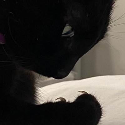 alexian89's profile picture. 就此沉沦。|梦想是这个世界上私信我的男同都死了☺️